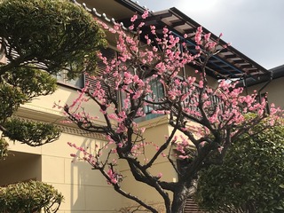 88586666-4D52-432C-940D-1D4B0515E97E.jpeg