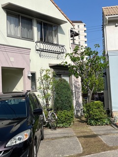 IMG_8939-96107.jpeg