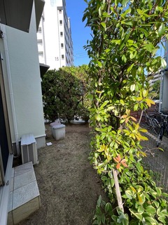 IMG_8942.jpeg