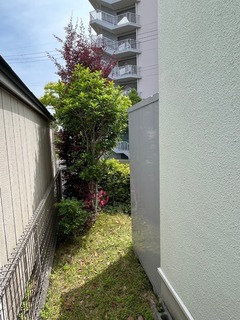 IMG_8943.jpeg