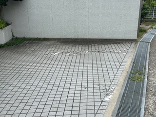 IMG_9656.jpeg