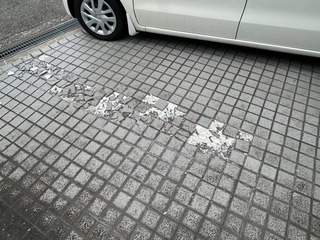 IMG_9657.jpeg