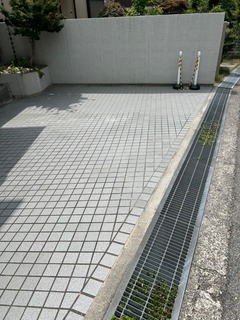 IMG_9659.jpeg